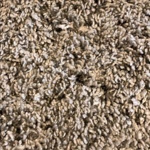 Meet your Posher, Kiley